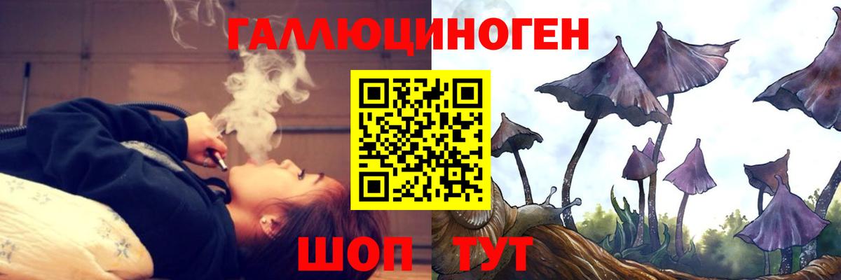 Джанкой  Галлюциногенные грибы Psilocybine cubensis  Вход с VPN 